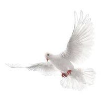 Radio Conexiones 1300 Am en Vivo