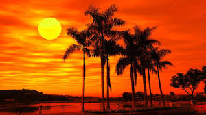 24/7 Deep Sleep Music Relaxing Music Insomnia Sleep Relaxing Music Study Sleep Meditation en Vivo